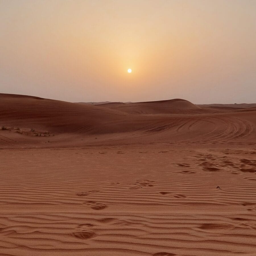 Dubai woestijnsafari