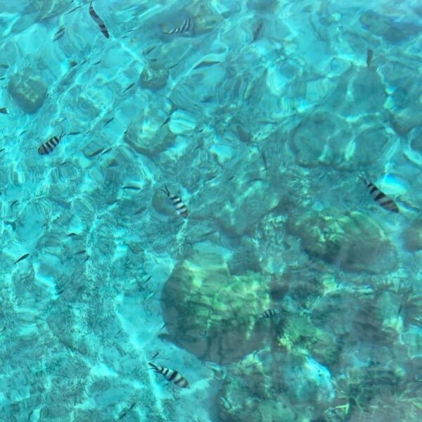 PE snorkelen
Perhentian eilanden tips