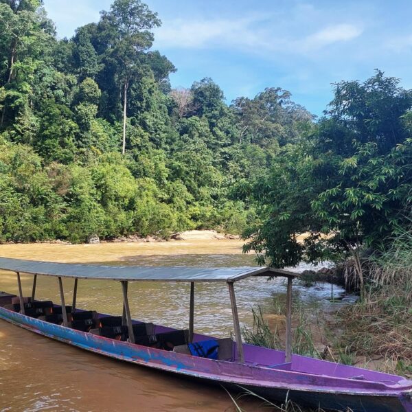 Maleisië - Taman Negara river rafting