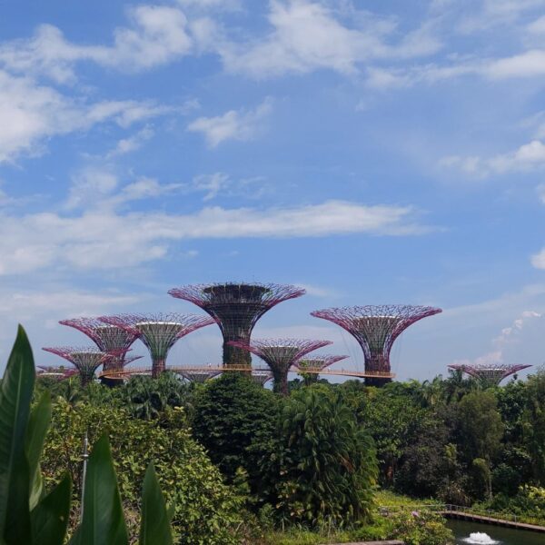 Singapore Gardens by the Bay