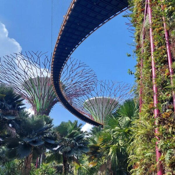 Gardens by the bay