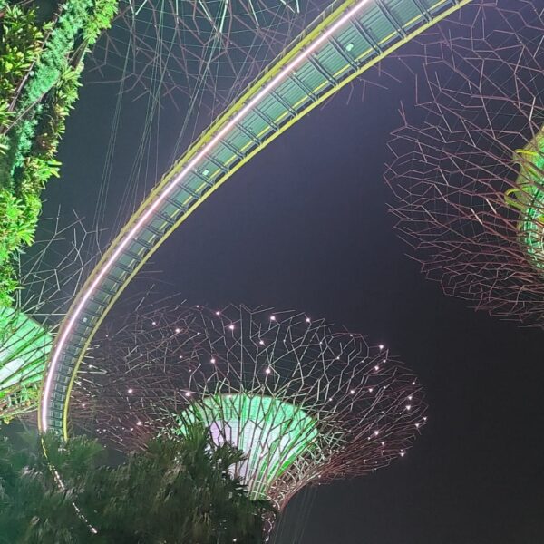 Travel expenses city trip Singapore Gardens by the Bay