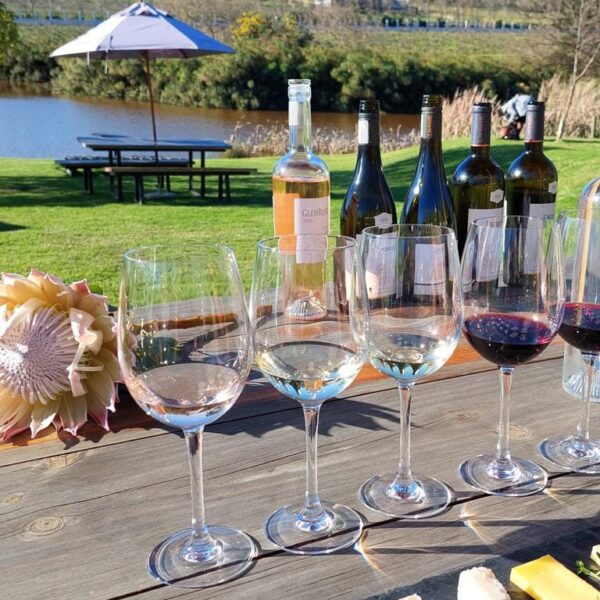South Africa wine tasting Stellenbosch