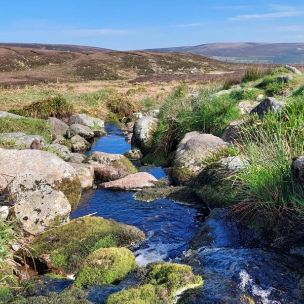 Bergen van Wicklow
Rondreis Ierland 10 dagen