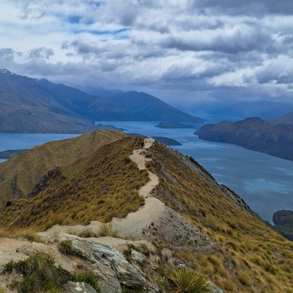 New Zealand - Roy's Peak