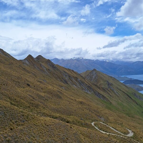 New Zealand - Roy's Peak