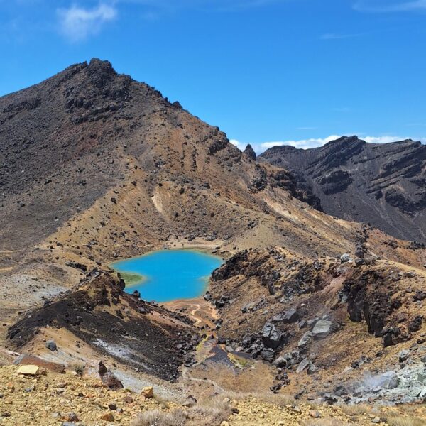 Nieuw-Zeeland - Tongariro - crossing