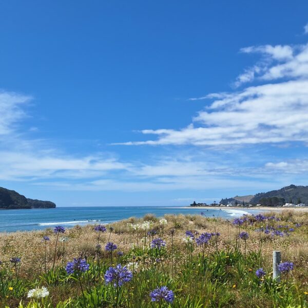 New Zealand - Whangamata Beach