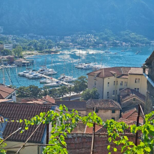 Montenegro - Kotor
Roadtrip Montenegro tips