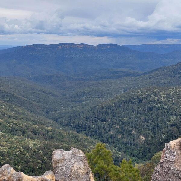 Australia Blue Mountains
Rondreis Australië 4 weken