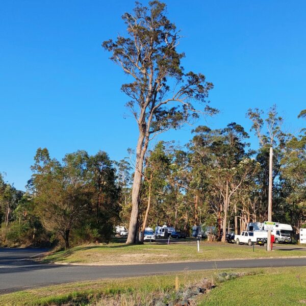 Australia free campsite