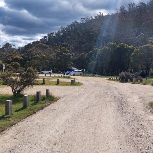 Australië gratis kampeerplek
Rondreis Australië 4 weken