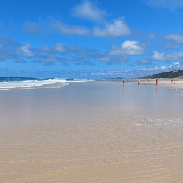Australia Sunshine Coast
Rondreis Australië 4 weken