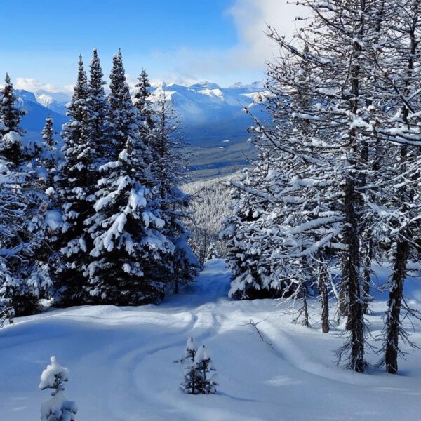 Winter Activities in Canada Lake Louise
