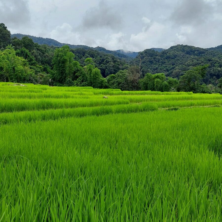 Thailand Doi Ithanoi