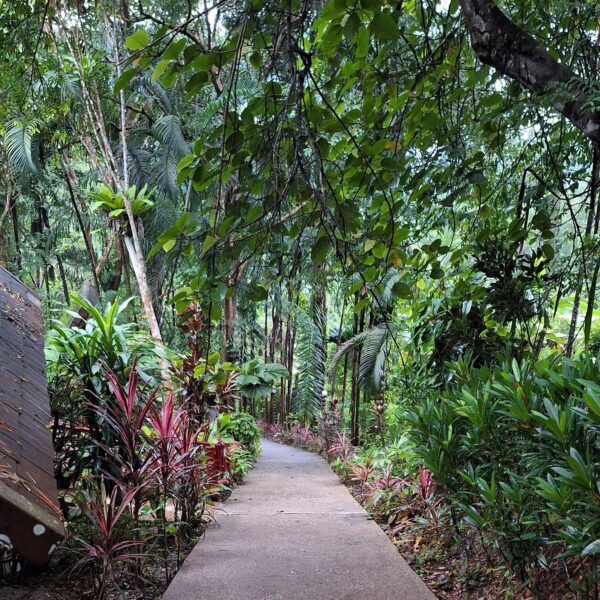 Thailand Khao Sok National Park