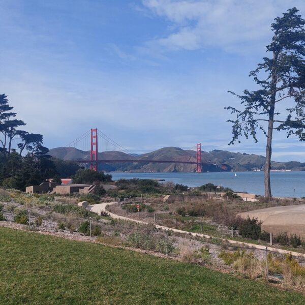 USA California SF city
Wat te doen in San Fransisco