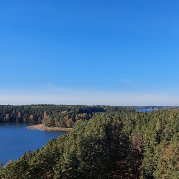 Baltic States Lithuania Labaronas Park