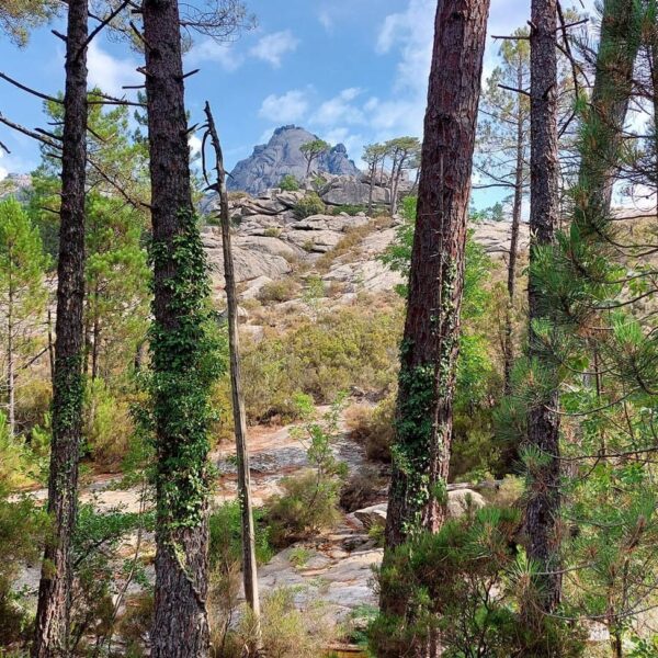 Corsica Cascade di Ghjaddu