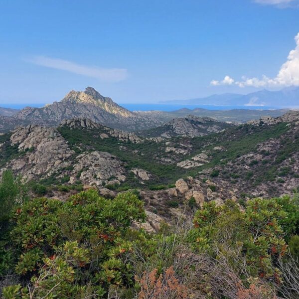 Corsica desert des agriates