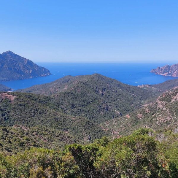 Road trip Corsica Virade de l'ours