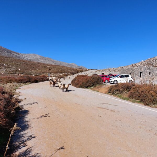 Kreta Psiloritis (mount Ida)