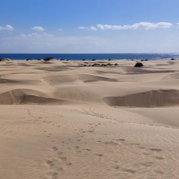 Gran Canaria dunas de maspalomas