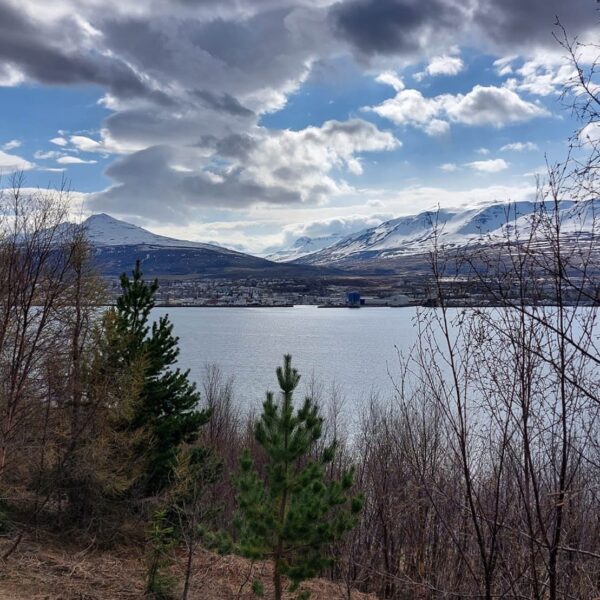 Island view to Akureyri
