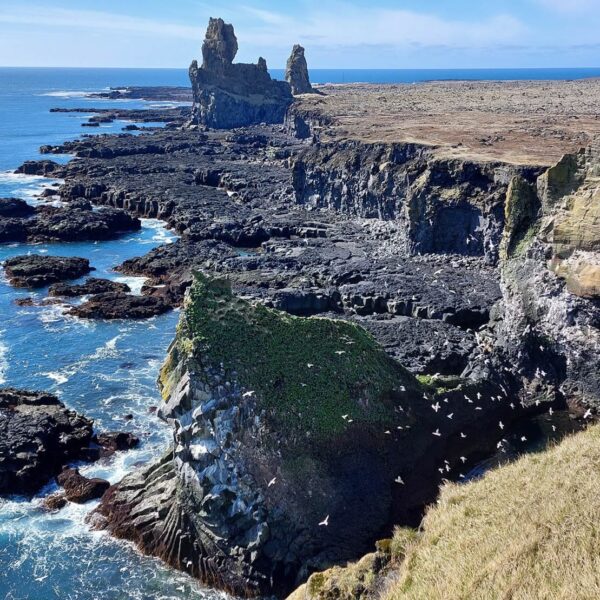Road trip Ringroad Iceland 10 days Londrangar viewpoint