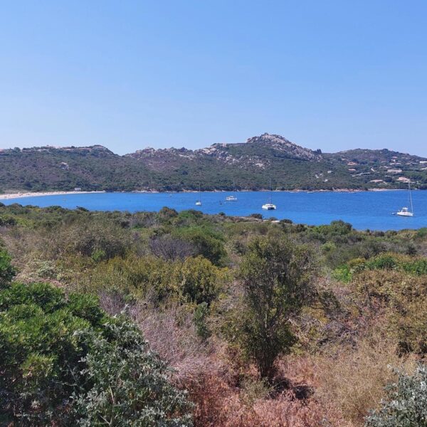 Italy Maddalena archipel