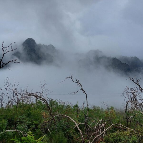 Italië vesuvius
tips beklimming Vesuvius