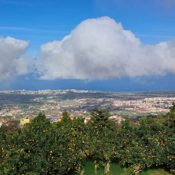 Puerto de la Cruz
reisroute Tenerife 5 dagen