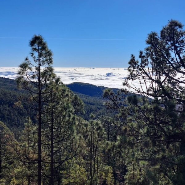 Hoogtepunten Tenerife: El Teide National Park
reisroute Tenerife 5 dagen