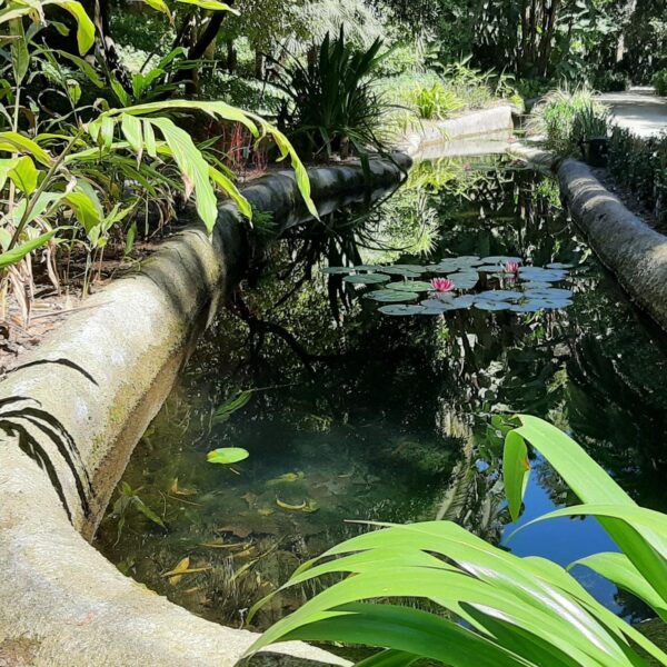 Jardin Botanico Garden Malaga
hoeveel dagen Málaga
