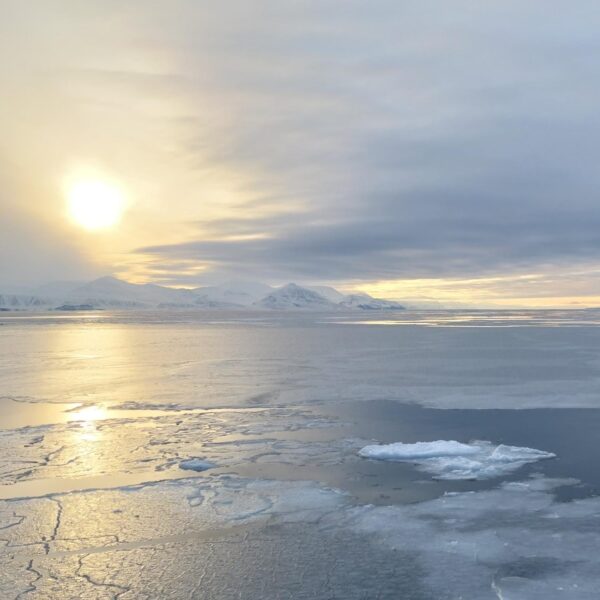 Svalbard Fjord Cruise