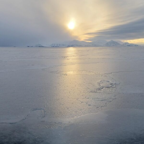 Svalbard Spitsbergen Fjord Cruise