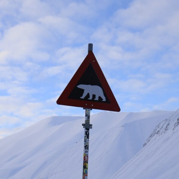Svalbard Spitsbergen Longyearbyen