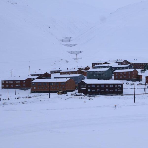 Svalbard Spitsbergen Longyearbyen centrum
Kun je vrij rondlopen in Longyearbyen?