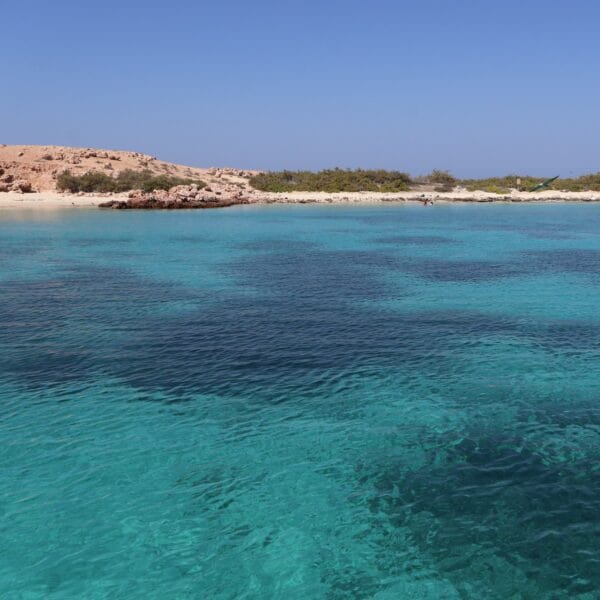 Snorkelling tour Daymaniat Eilanden Oman
Daymaniyat eilanden snorkelen