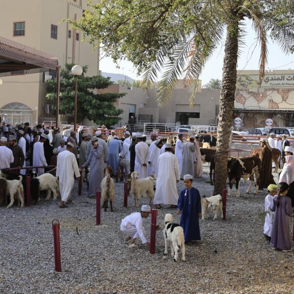 Geitenmarkt op vrijdag Nizwa Oman