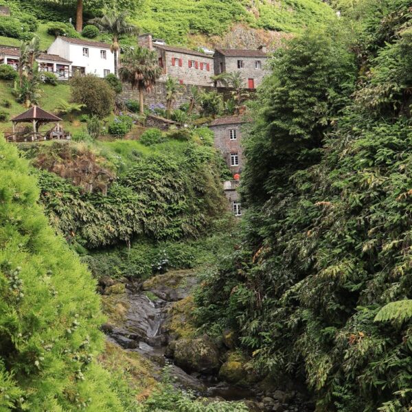 Azores parque natural da Ribeira dos Caldeirões
São Miguel Azores
