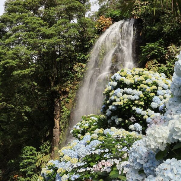Azores parque natural da Ribeira dos Caldeirões