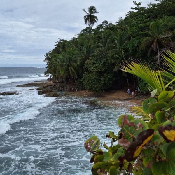 Costa Rica Manzanillo Strand