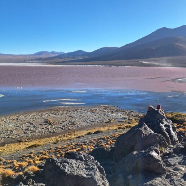 Bolivia Salar de Uyuni Pink Lake