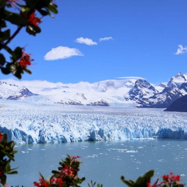 El Calafate Patagonia Perito Moreno Glacier