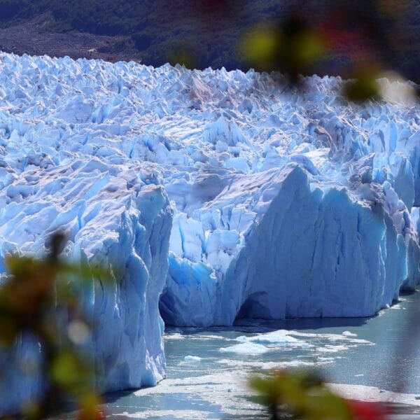 El Calafate Patagonia Perito Moreno Glacier