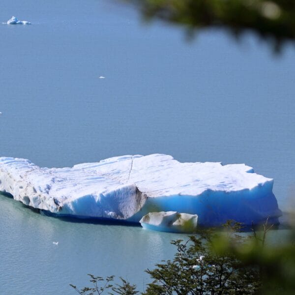 El Calafate Patagonia Perito Moreno Glacier