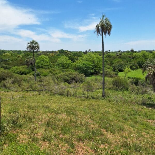 El Palmar National Park Argentina