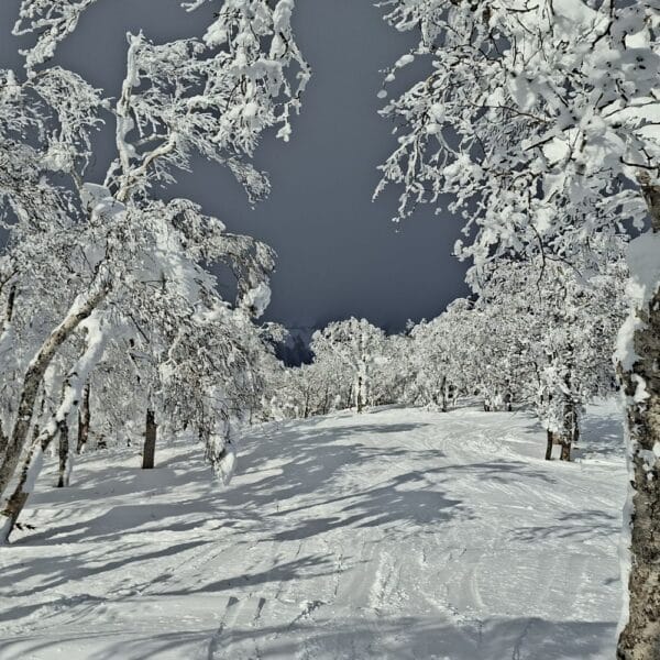 Hokkaido in de winter - skiën in Japan